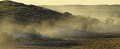 Une facette du désert du Kalahari au coucher du soleil. Paysage; coucher du soleil; Désert du Kalahari; Parc Transfrontalier de Kgalagadi; Afrique du Sud 